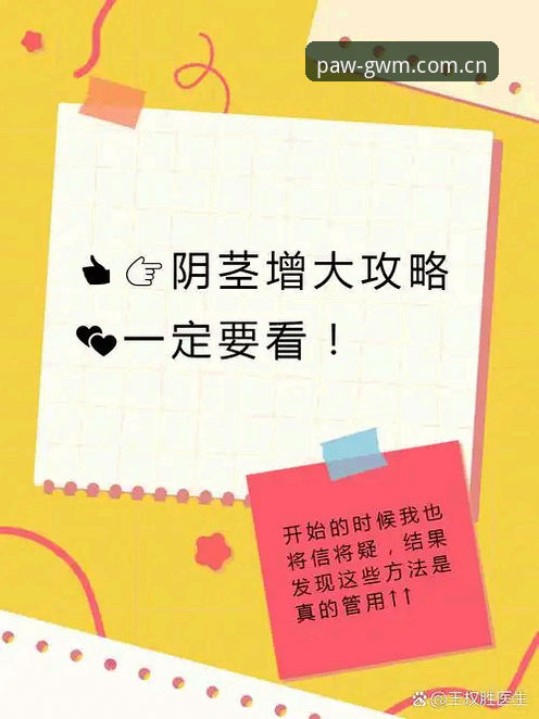 为什么说Manbetx投注教程是新手入门的必备指南？